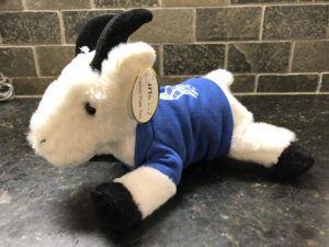 Stuffed goat on counter