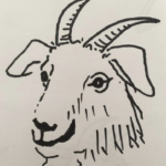 Caricature of a goat